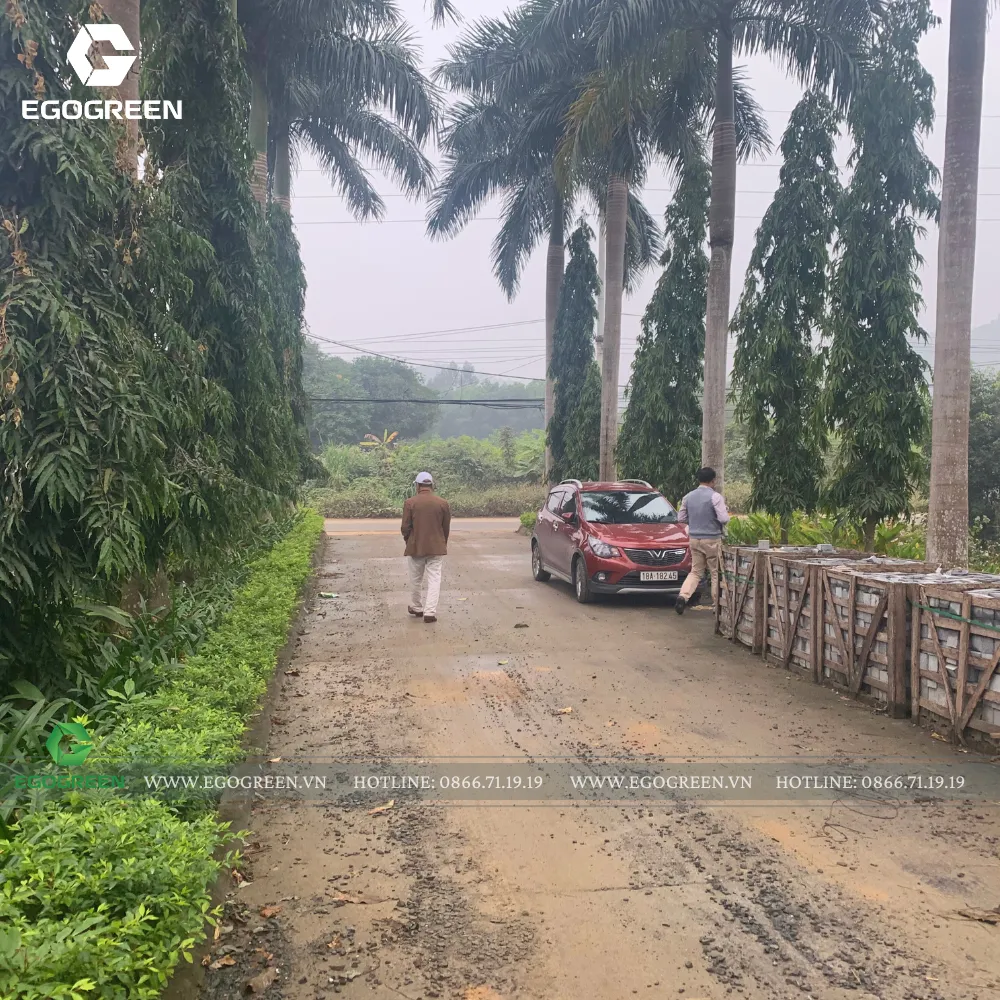 Chúng tôi lên dự trù kinh phí và chi tiết các hạng mục như cây, vật liệu, thời gian thi công.